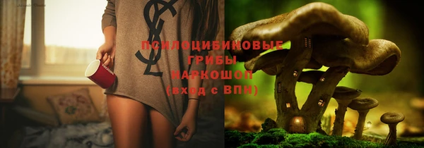 крисы Киров
