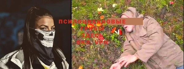 трава Ладушкин