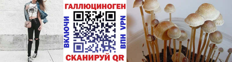 маркетплейс какой сайт сколько стоит Сосенский Галлюциногенные грибы Cubensis гидра как войти